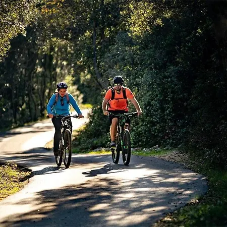 アパート Arbatica *