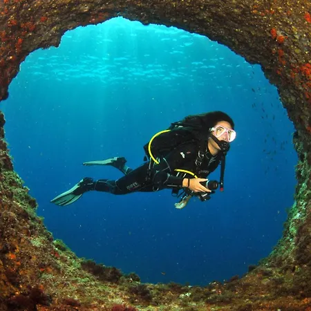 アパート Arbatica *