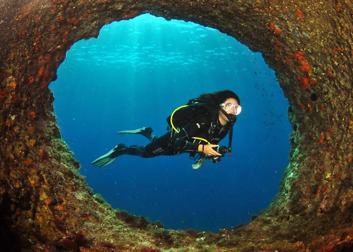 Apartmán Arbatica *